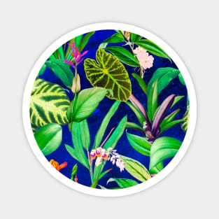 Stylish Tropical floral leaves and foliage botanical illustration, botanical pattern, tropical plants, blue leaves pattern over a Magnet